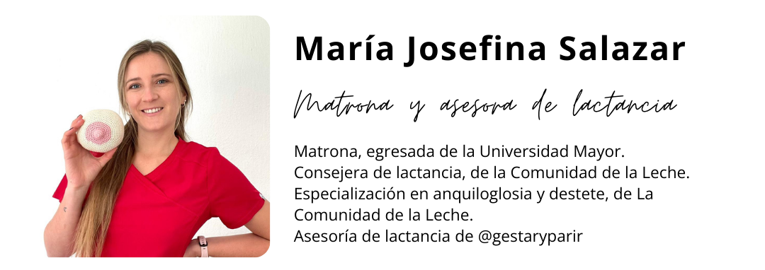 Taller teórico práctico de preparación a la lactancia materna: clases grabadas + sesión práctica presencial en Vitacura - Gestar y Parir